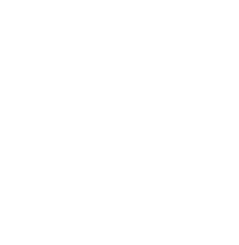 Perspective Construction
