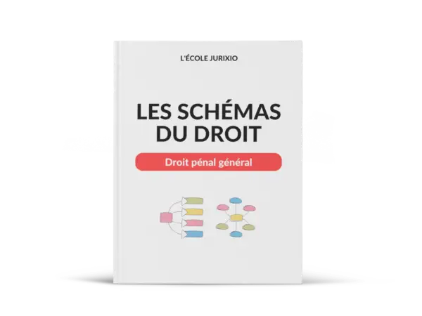Schémas de droit pénal général