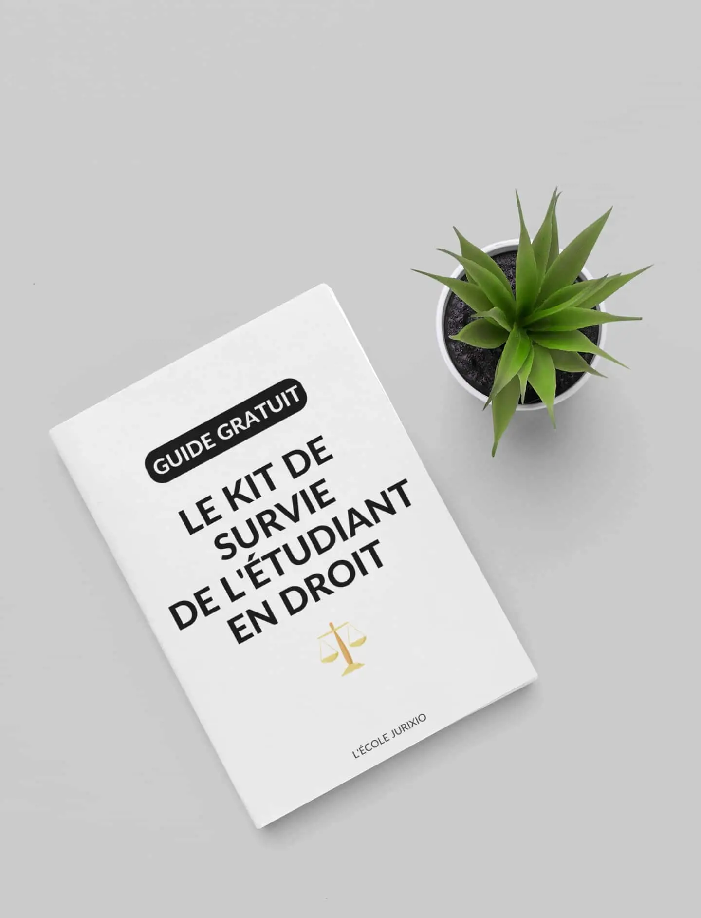 qcm droit de la famille